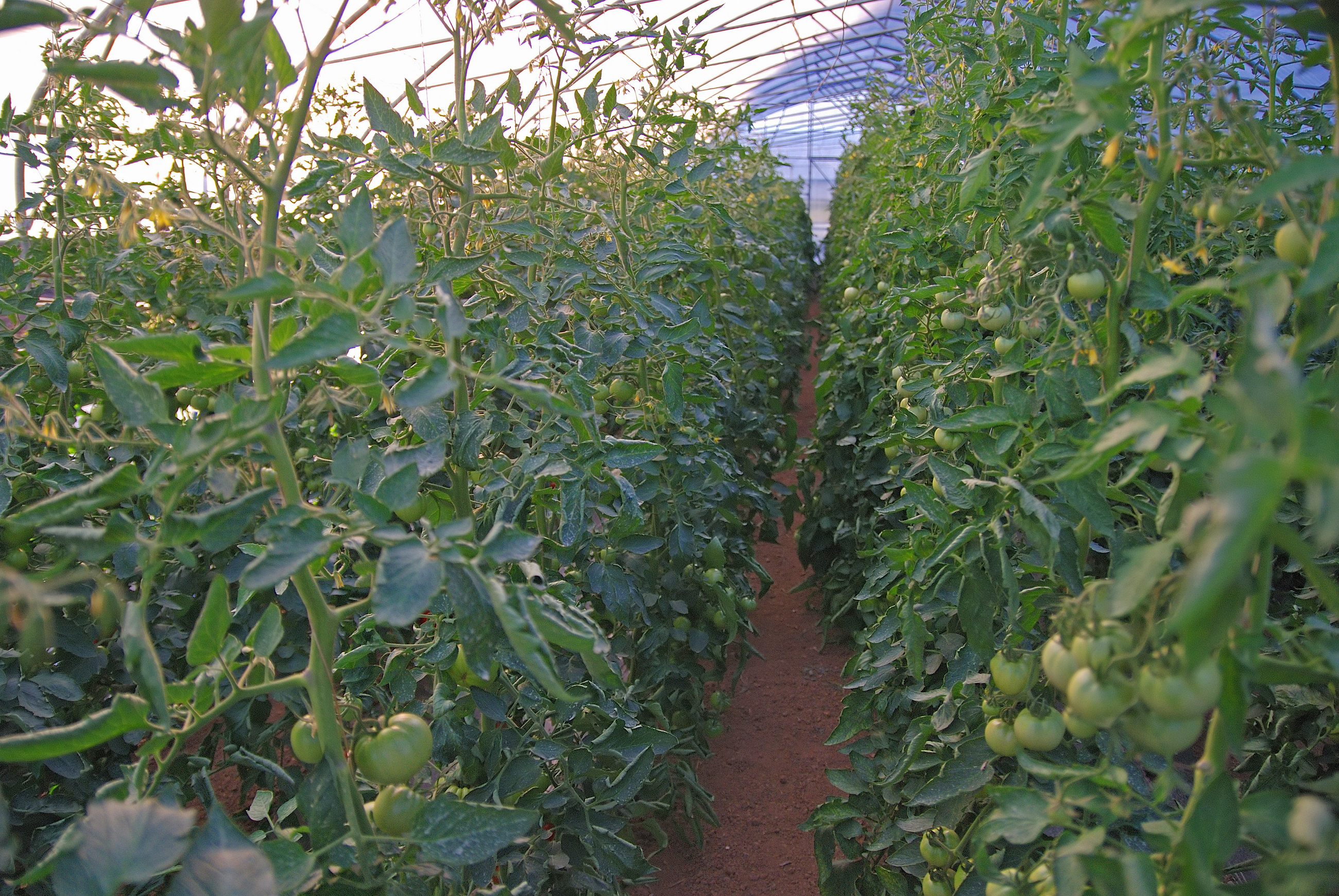 Our Farm